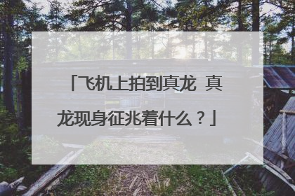 飞机上拍到真龙 真龙现身征兆着什么？