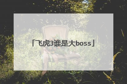 飞虎3谁是大boss