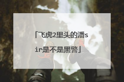 飞虎2里头的潘sir是不是黑警