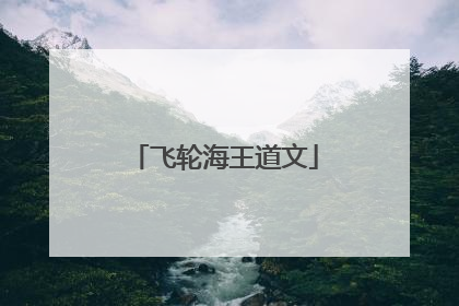 飞轮海王道文