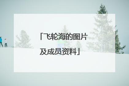 飞轮海的图片及成员资料