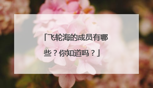 飞轮海的成员有哪些?你知道吗?