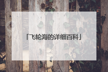 飞轮海的详细百科