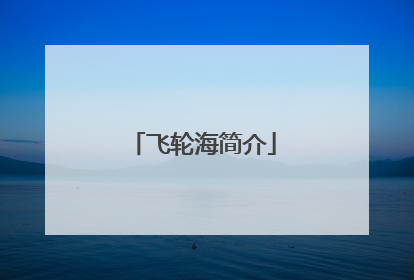 飞轮海简介