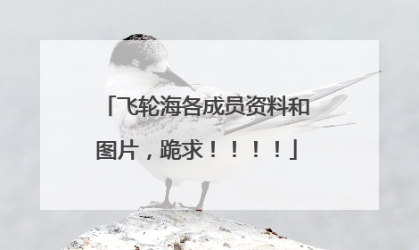 飞轮海各成员资料和图片，跪求！！！！
