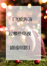 飞轮海演过哪些电视剧或电影