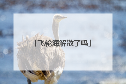 飞轮海解散了吗