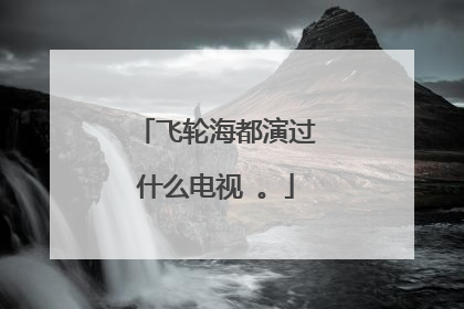 飞轮海都演过什么电视 。