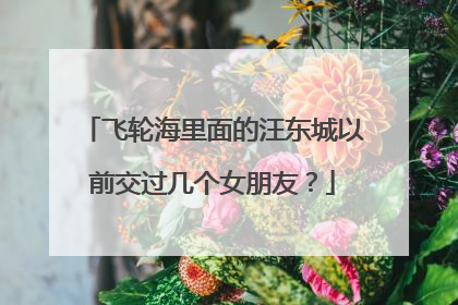 飞轮海里面的汪东城以前交过几个女朋友？