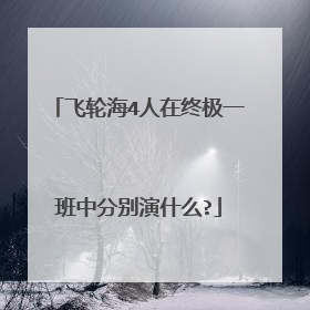 飞轮海4人在终极一班中分别演什么?