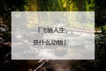 飞驰人生,是什么动物