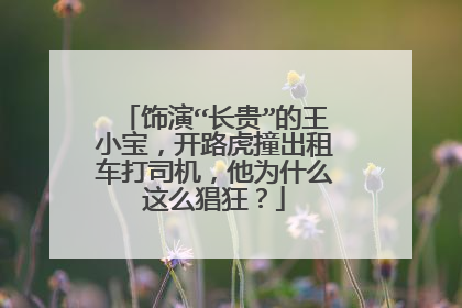 饰演“长贵”的王小宝，开路虎撞出租车打司机，他为什么这么猖狂？