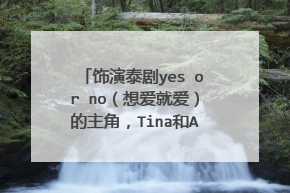 饰演泰剧yes or no（想爱就爱）的主角，Tina和Aom在现实生活中是女同么，谁是女同，要真实的，看过的进。