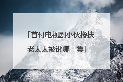 首付电视剧小伙搀扶老太太被讹哪一集