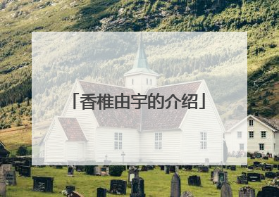 香椎由宇的介绍