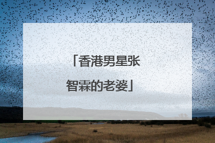 香港男星张智霖的老婆