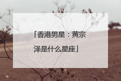 香港男星：黄宗泽是什么星座