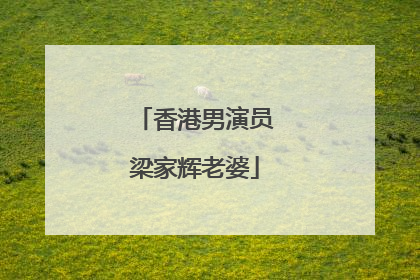 香港男演员梁家辉老婆