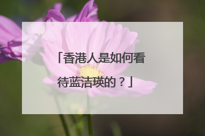 香港人是如何看待蓝洁瑛的?