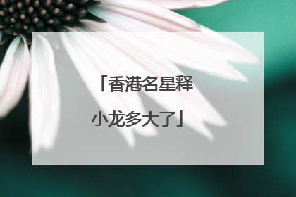 香港名星释小龙多大了