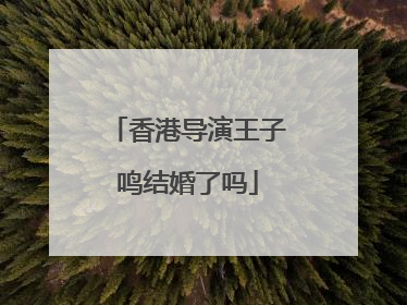 香港导演王子鸣结婚了吗