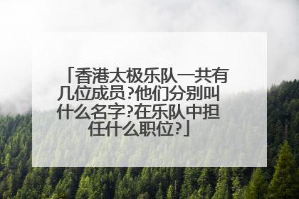 香港太极乐队一共有几位成员?他们分别叫什么名字?在乐队中担任什么职位?