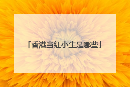 香港当红小生是哪些