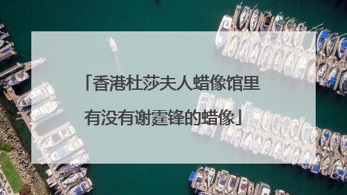 香港杜莎夫人蜡像馆里有没有谢霆锋的蜡像