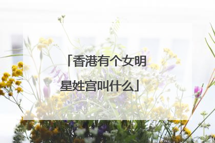 香港有个女明星姓宫叫什么