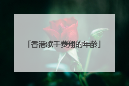 香港歌手费翔的年龄