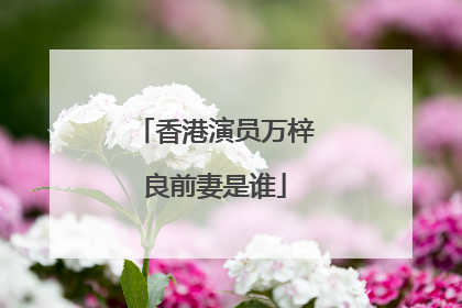 香港演员万梓良前妻是谁