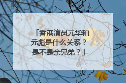香港演员元华和元彪是什么关系？是不是亲兄弟？