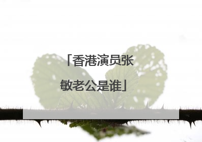 香港演员张敏老公是谁