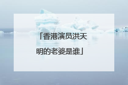 香港演员洪天明的老婆是谁