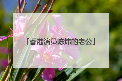 香港演员陈炜的老公