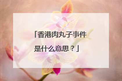 香港肉丸子事件是什么意思？