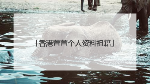 香港萱萱个人资料祖籍