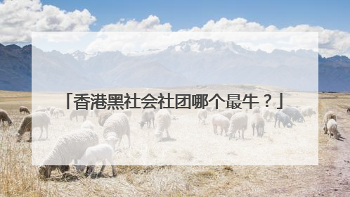 香港黑社会社团哪个最牛？