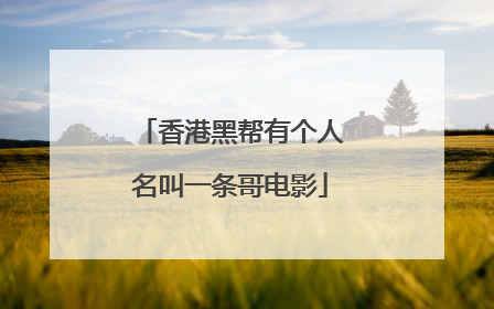 香港黑帮有个人名叫一条哥电影