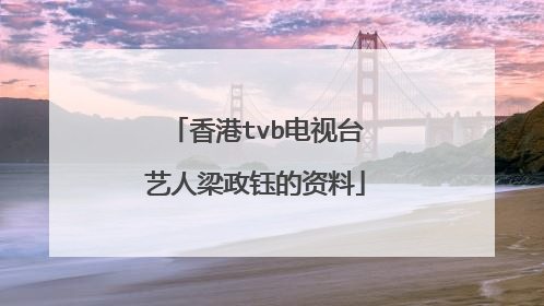 香港tvb电视台艺人梁政钰的资料