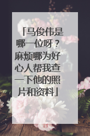 马俊伟是哪一位呀？麻烦哪为好心人帮我查一下他的照片和资料