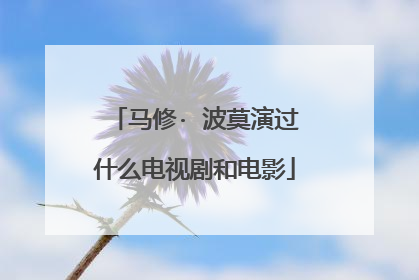 马修· 波莫演过什么电视剧和电影