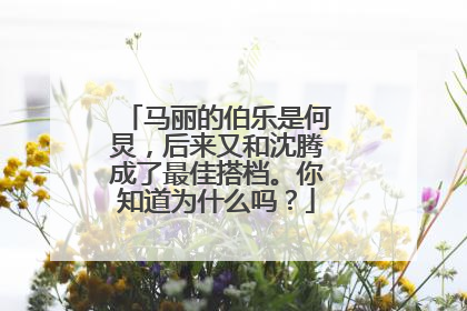 马丽的伯乐是何炅，后来又和沈腾成了最佳搭档。你知道为什么吗？