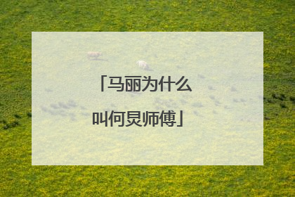 马丽为什么叫何炅师傅