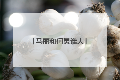 马丽和何炅谁大