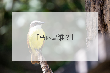 马丽是谁？