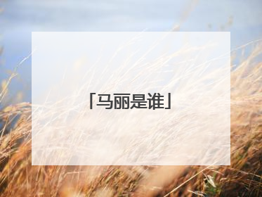 马丽是谁