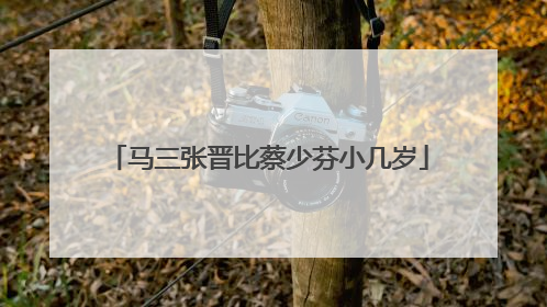 马三张晋比蔡少芬小几岁