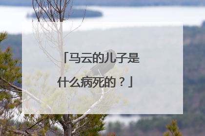 马云的儿子是什么病死的?