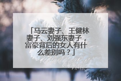 马云妻子、王健林妻子、刘强东妻子,富豪背后的女人有什么差别吗?